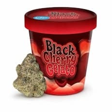 Black Cherry Gelato | 7g