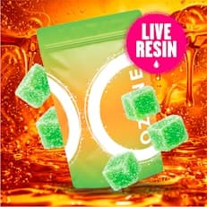 Guava Kiwi Full Spectrum Live Resin Gummies - 10 Pack