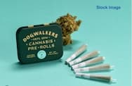 Animal Scout #9 [Five 0.35g Pre Rolls] || Dogwalkers