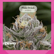 Pink Drink (DOH)