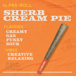 Sherb Cream Pie - 1g Pre Rolls