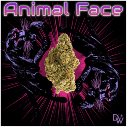 Animal Face - .35g Mini PreRolls 5-pk