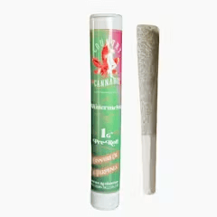 Watermelon Infused Pre-Roll