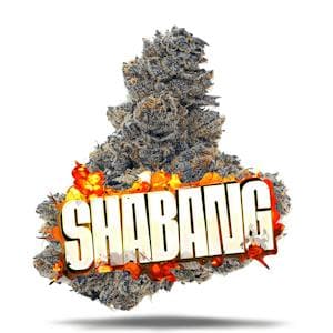 Shabang