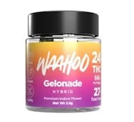WaaHoo | Gelonade | Jarred Flower