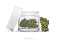 Mac N Jack Flower | Pioneer Farms