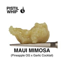 PISTIL WHIP - ROSIN BADDER - MAUI MIMOSA - 1G