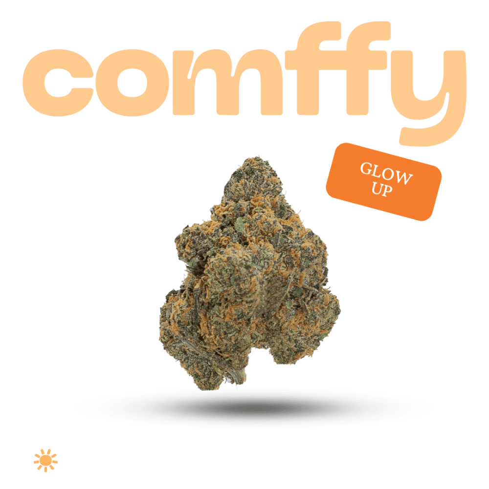 comffy - Glow Up (S) Flower C0140000266