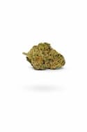 Donny Burger – Indica Flower | 23.2% THC
