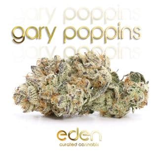 Gary Poppins