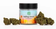 Rolling Green | Flower | Glitter Bomb | 3.5g