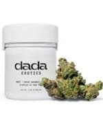 Dada (Exotics) | Boofberry Zilla | Flower