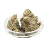 Glitter Bomb x Sweet Tea Bulk Flower