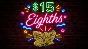 Brilliant Buds | Jealousy | h | 3.5g | Flower