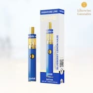 BLUEBERRY LEMON HAZE 2G OIL DISPOSABLE - DIME
