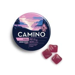 KB - CAMINO - THC GUMMY - WILD BERRY - 100MG