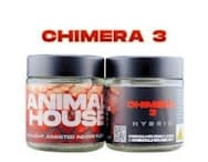 Animal House | Chimera 3 | Mixed Light Flower