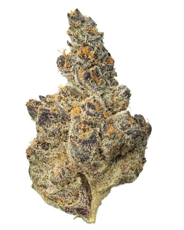 Limeade | Premium THCa Flower
