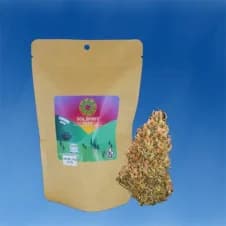 Sour Diesel 14g