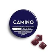 Camino - Midnight Blueberry 5:1 THC/CBN - Gummies - 20-Pack (120mg) [I]