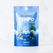 TEMPO- HUCKLEBERRY ICE READY TO USE [I]