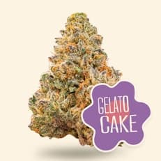 Gelato Cake - 3.5g Indica-Hybrid