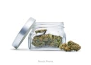 Akron Bloom | Strawberry Blonde OG Hybrid Flower