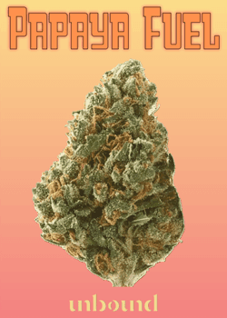 Papaya Fuel - Mini PreRolls .5g 5pk