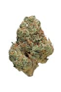 Guava - Sativa Flower | 28.8% THC
