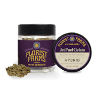 Florist Farms | Jet Fuel Gelato | Flower
