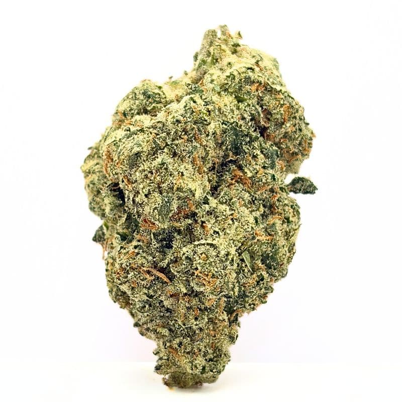 Blue Gusher | Select THCa Flower