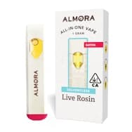Jack Herer Solventless Live Rosin AIO | 1g
