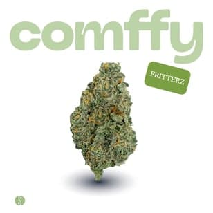 comffy - Fritterz (H) Flower C0140000274