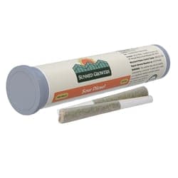 Sunmed | Pre-Roll | - Sour Diesel | 0.5g x 2