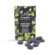 Sour Blackberry Fruit Chews | 100mg