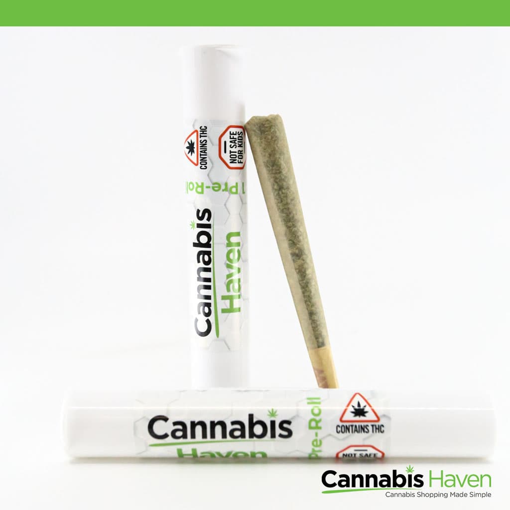 Fog Cutters Cujo's Revenge .5g-2pk INF Prerolls