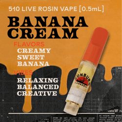 Banana Cream - 0.5g Live Rosin Cartridge
