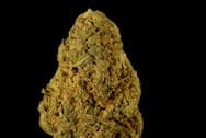 Banana Kush