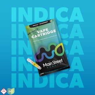 ARTIFACT - Blueberry (CARTRIDGE) [1g]