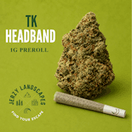 TK Headband