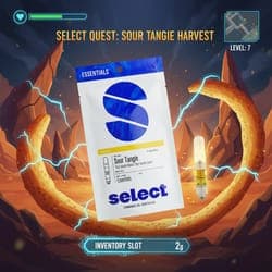 Select Essentials Briq Disposable 2g - Sativa: Sour Tangie