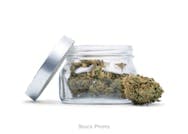 Freedom Farms - AW Flower - Animal Face