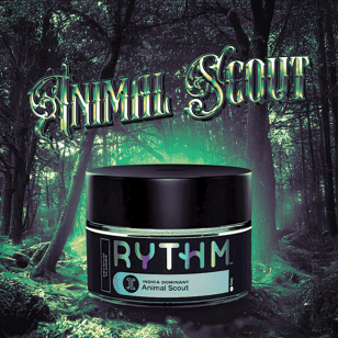 Animal Scout