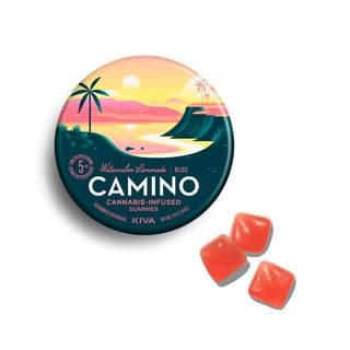 Camino Watermelon Lemonade Gummies