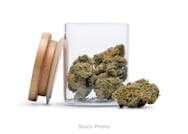 Medio - Flower - Medio - DOH - Bubble Gum