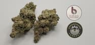Cap Junky Flower