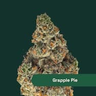 The Botanist | Grapple Pie | Flower