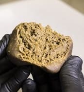 Moroccan Hash Sativa