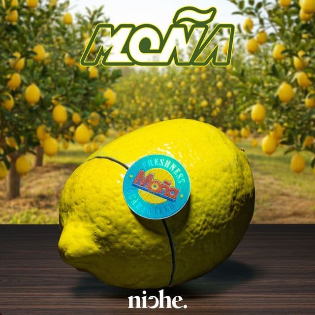 X Niche | Citrico Flower