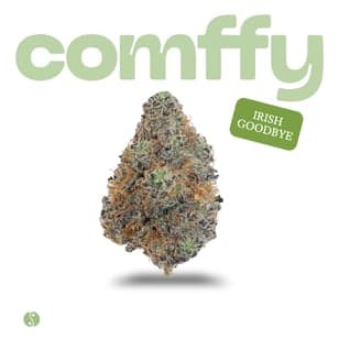 comffy - Irish Goodbye (H) Flower C0140000315